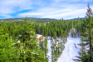 Foret Montmorency