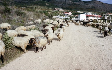 Saranda Albania