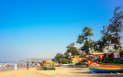 How to Live on the Beach, Arambol Goa