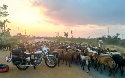 Driving a Motorcycle in India at Night