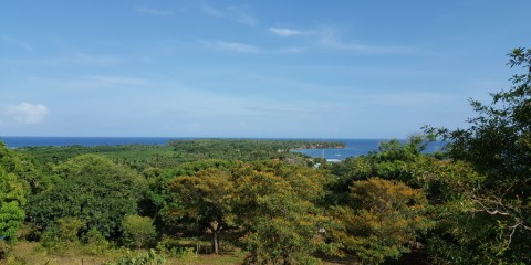 Land for Sale on Little Corn island