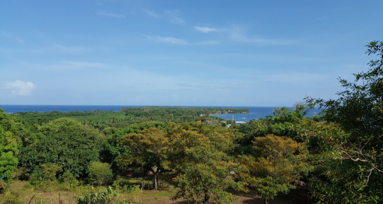Land for Sale on Little Corn island